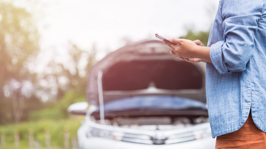 Cost, Coverage and More (December 2025)